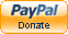 Donate Now! with Paypal